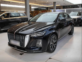 红旗H5 PHEV 2025款 170 超混版
