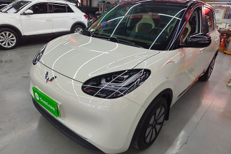 五菱汽车 五菱缤果 2024款 333km 悦享款