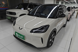 五菱汽车 五菱缤果PLUS 2024款 401km 五座版