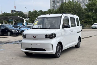 五菱汽车 五菱之光新能源 2025款 305km 进取型