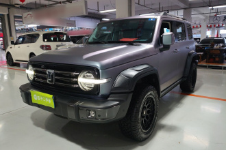 坦克300 2021款 城市版 2.0T 很有型