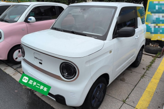 吉利银河 2023款 熊猫mini 200km 耐力熊