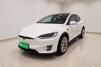 特斯拉 Model X 2019款 长续航版