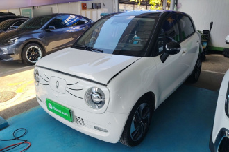 欧拉黑猫 2022款 351km 豪华型 三元锂