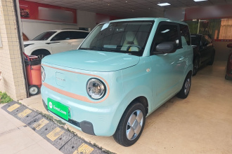 吉利银河 2023款 熊猫mini 200km 耐力熊