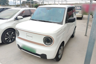 吉利银河 2024款 熊猫mini 200km 耐力熊