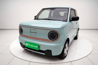 吉利银河 2024款 熊猫mini 200km 耐力熊