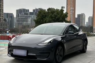 特斯拉 Model 3 2020款 改款 标准续航后驱升级版