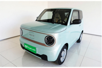 吉利银河 2024款 熊猫mini 200km 耐力熊