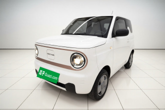 吉利银河 2024款 熊猫mini 200km 耐力熊