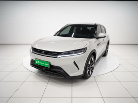 比亚迪 元UP 2024款 301KM 领先型