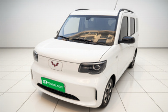 五菱汽车 五菱之光新能源 2025款 305km 进取型
