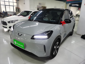 五菱汽车 五菱缤果PLUS 2024款 330km 五座版