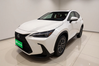 雷克萨斯NX 2025款 200 FUN