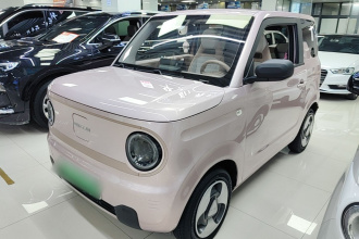 吉利银河 2023款 熊猫mini 200km 灵动熊