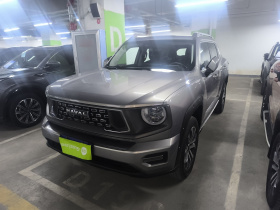 哈弗大狗 PLUS 2023款 2.0T 两驱潮野版Plus