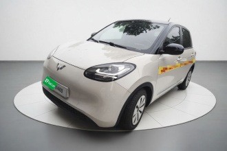 五菱汽车 五菱缤果 2023款 203km 轻享款