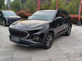 江汽集团 嘉悦X7 2020款 1.5TGDI 自动超越型