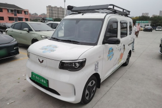 五菱汽车 五菱之光新能源 2025款 305km 进取型