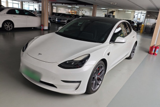 特斯拉 Model 3 2021款 Performance高性能全轮驱动版 3D6