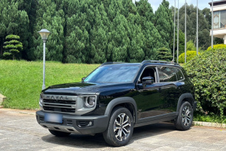 哈弗大狗 2024款 1.5T DCT边牧版