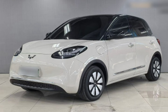 五菱汽车 五菱缤果 2025款 333km 悦享款