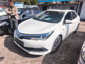 丰田 卡罗拉双擎E+ 2019款 1.8L E-CVT领先版