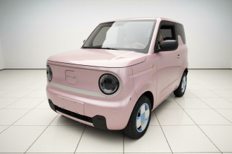 吉利银河 2023款 熊猫mini 200km 耐力熊