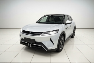 比亚迪 元UP 2024款  401KM 活力版