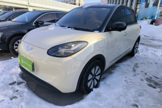 五菱汽车 五菱缤果 2025款 333km 灵犀尊享款