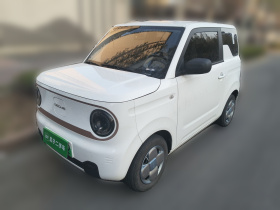 吉利银河 2023款 熊猫mini 200km 耐力熊