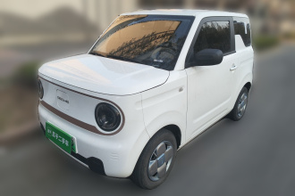 吉利银河 2023款 熊猫mini 200km 耐力熊