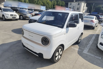 吉利银河 2024款 熊猫mini 200km 耐力熊