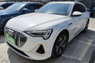 奥迪e-tron 2021款 50 quattro 臻选型
