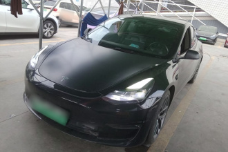 特斯拉 Model 3 2022款 Performance高性能全轮驱动版