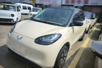 五菱汽车 五菱缤果 2025款 333km 悦享款