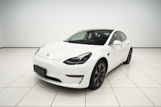 特斯拉 Model 3 2020款 标准续航后驱升级版