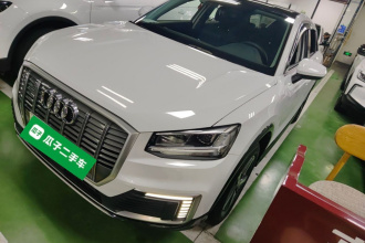 奥迪Q2L e-tron 2019款 Q2L e-tron 纯电智酷型