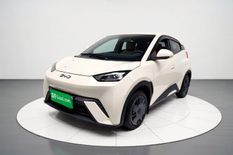 比亚迪 海鸥 2024款 荣耀版 305km 活力版