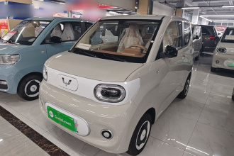 五菱汽车 宏光MINIEV 2024款 第三代 215km 青春版
