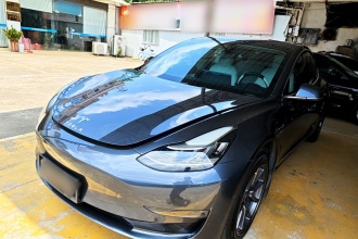 特斯拉 Model 3(进口) 2019款 长续航后驱版