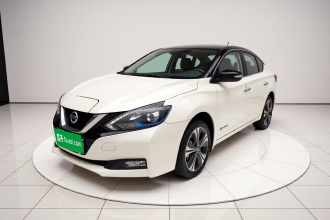 日产 轩逸·纯电 2018款 智尊版