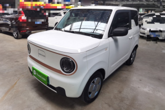 吉利银河 2024款 熊猫mini 200km 耐力熊