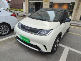 比亚迪 海豚 2025款 420km 自由版