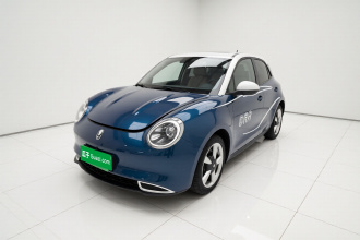 欧拉好猫 2021款 400km标准续航 维纳斯版 磷酸铁锂