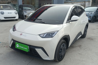 比亚迪 海鸥 2025款 305km 活力版