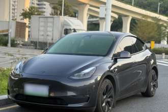 特斯拉 Model Y 2024款 长续航全轮驱动版