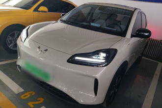 五菱汽车 五菱缤果PLUS 2024款 330km 五座版