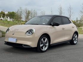 欧拉好猫 2021款 400km标准续航 维纳斯版 磷酸铁锂