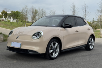 欧拉好猫 2021款 400km标准续航 维纳斯版 磷酸铁锂